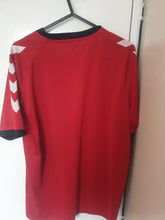 Load image into Gallery viewer, Lewes Fc Training Football Shirt (Size Small)
